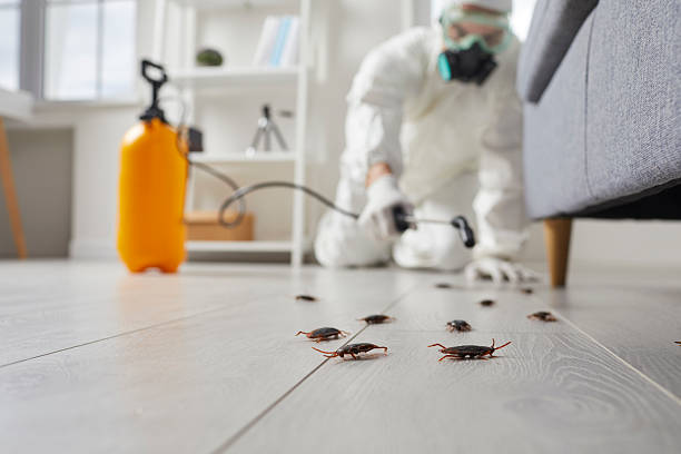 Commercial Kitchen Cockroach Control in East Peoria